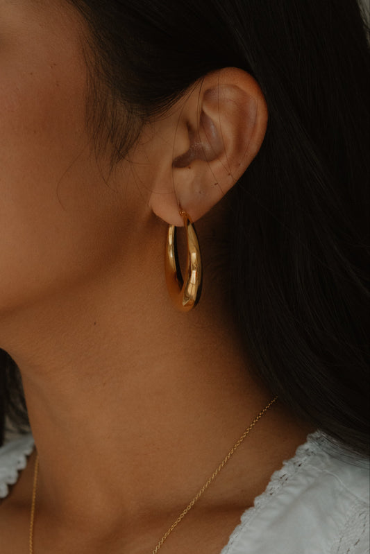 Leo Earrings