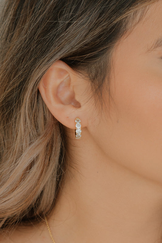 Michelly Earrings